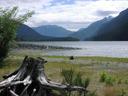 Valley views within Strathcona Park.